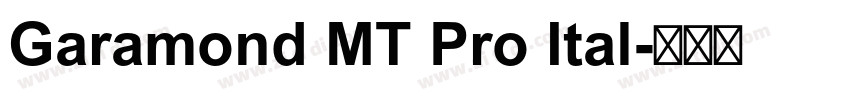 Garamond MT Pro Ital字体转换